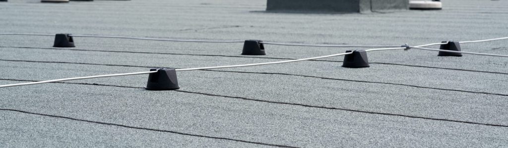 shutterstock_1982038100