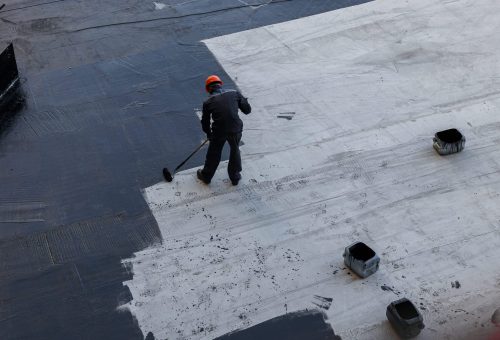 shutterstock_1999898915